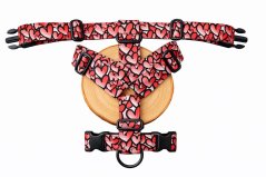 Postroj zapínání kolem krku LoveDog