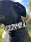 Doggmetal