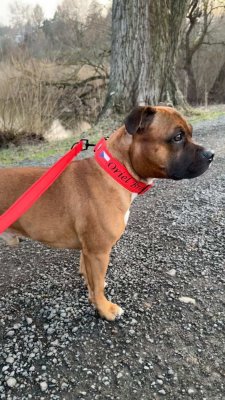 Vodítko ručka 25 cm - Červená