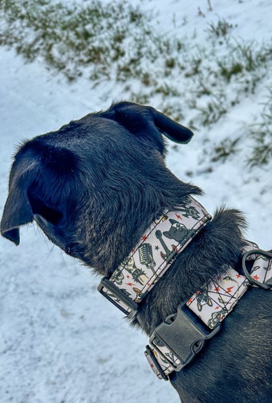 Vodítko  DoggMetal klasické/s dvouručkou