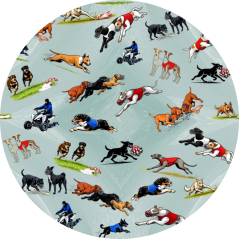 Vodítko ručka 25 cm - Coursing