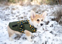 Postroj zapínání kolem krku ArtDuck