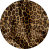 Gepard