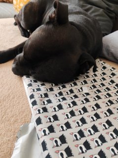 Vodítko ručka 25 cm - BatDog