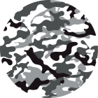 Maskovaná zebra