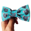 Motýlek