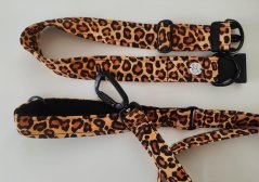 Obrázek WhatsApp, 2025 12 06 v 11.30.34 68fa7460