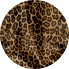 Gepard