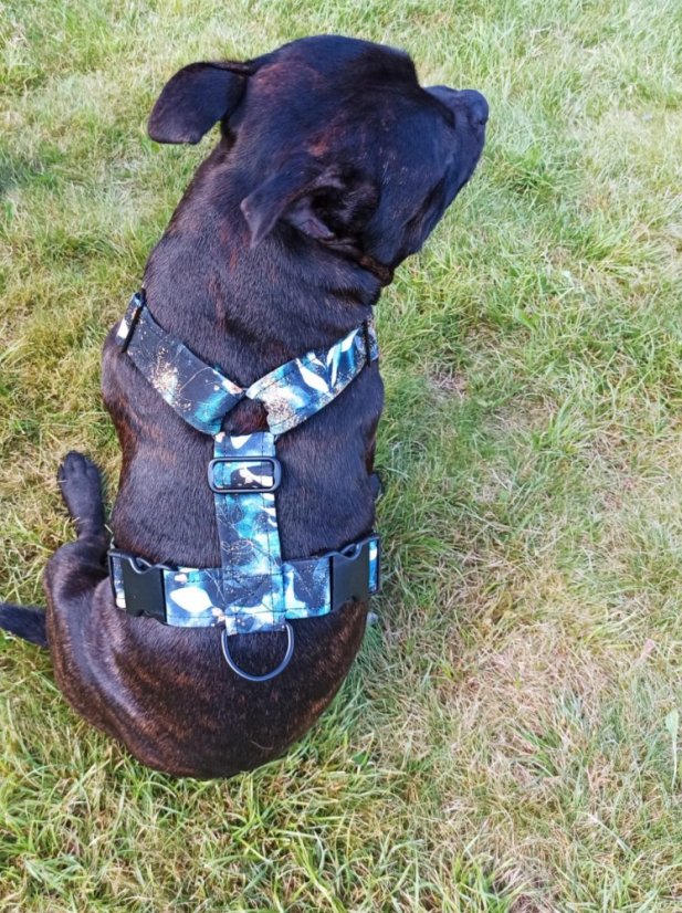 Postroj klasický Ironstaffy