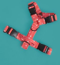 C542EBAC 4331 426B A40A FB4C5E0C2344