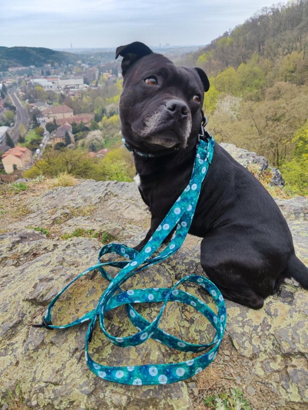 Vodítko Pampelišky přepínací/s dvouručkou