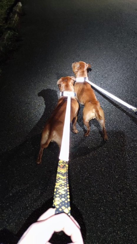 Vodítko ručka 25 cm - Reflex