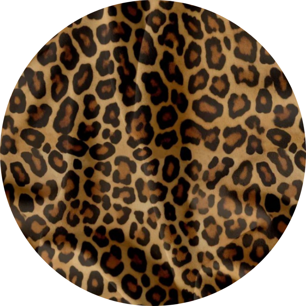 Gepard - Velikost obojků - XXXL - šíře 5 cm,  53cm+; 2x D kroužek