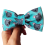 Motýlek