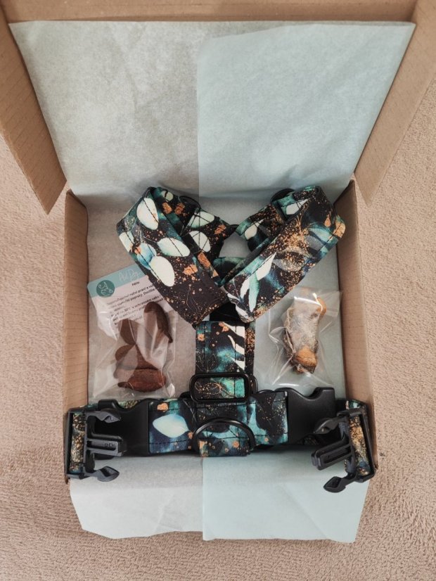 Postroj klasický Eukalyptus